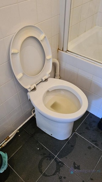  verstopping toilet Rijnsburg